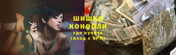 стаф Аркадак