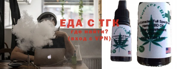индика Балахна