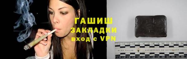 стаф Аркадак
