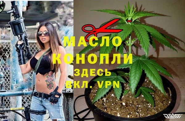 индика Балахна