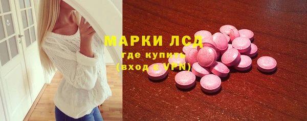 индика Балахна