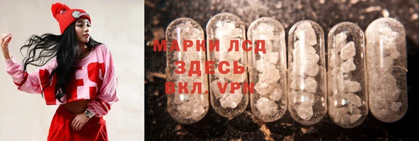 индика Балахна